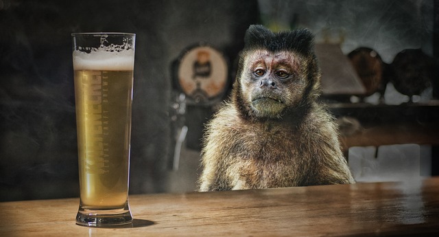 DUI,drunk driving,DUI lawyer