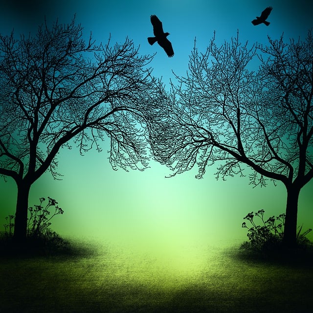 woodpecker,pigeon,blackbird,bird