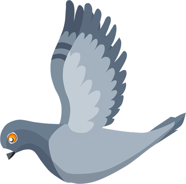 bird control,bird removal,pigeon removal,pigeon control,woodpecker removal