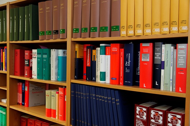 Unveiling Modern Criminal Law Trends and Global Justice