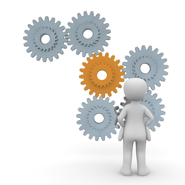 estate planning law,wills and trusts,probate