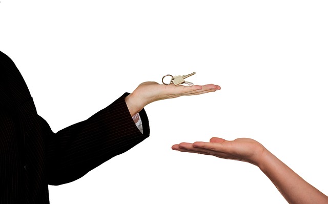 estate planning law,wills and trusts,probate