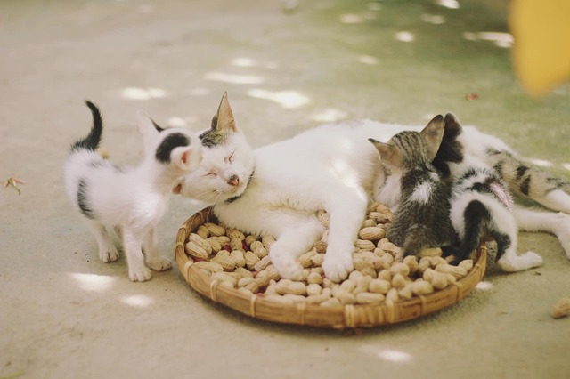 family-lawdivorce-640x480-53330712.jpeg