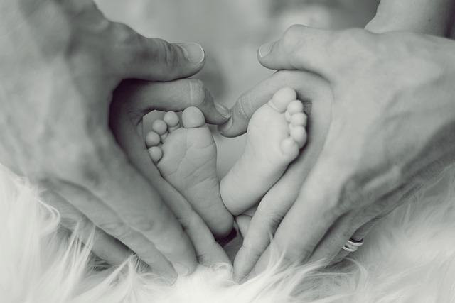 family law,divorce