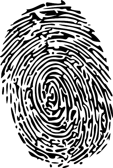 Unraveling Recent Criminal Law Trends & Accused Persons’ Rights