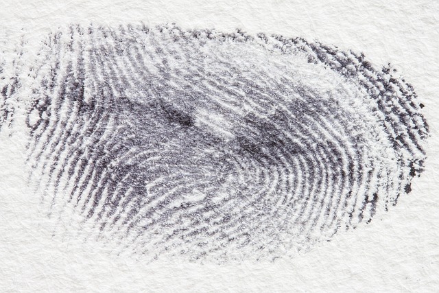 Unveiling Criminal Law’s Modern Face: Reforms, Prosecutors, Access, and Cybercrime