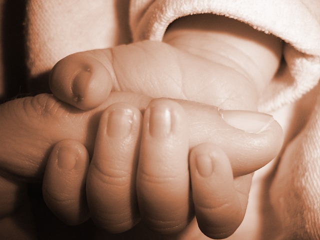 wills and trusts