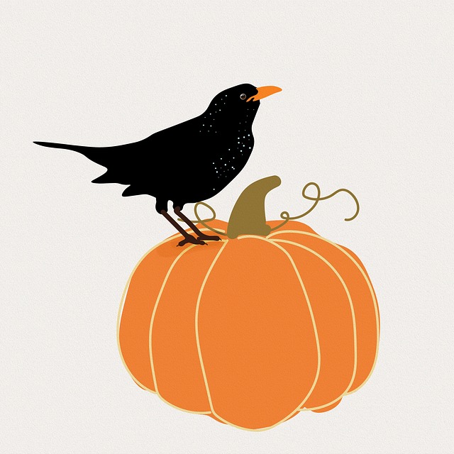 blackbird-640x480-82718129.jpeg
