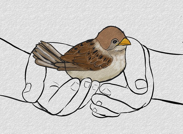Mastering Pigeon Control: Techniques for Effective Bird Removal Service