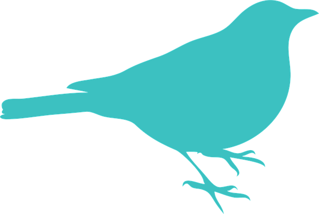 blackbird