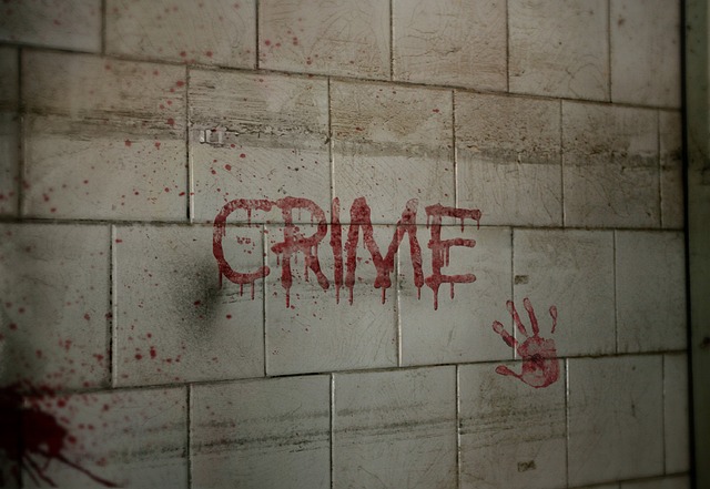 criminal law