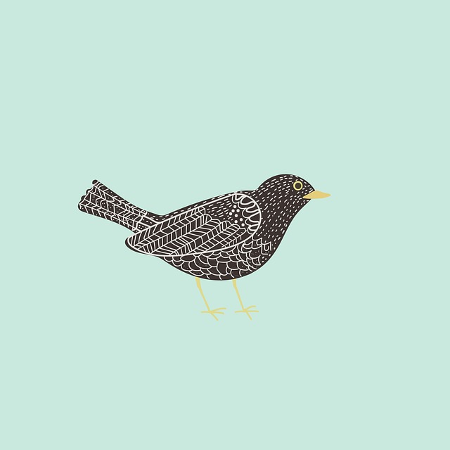 blackbird
